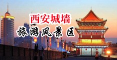 啊嗯操我操骚逼视频中国陕西-西安城墙旅游风景区